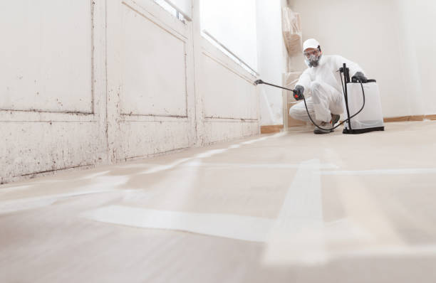 24/7 Emergency Attic Mold Remediation experts in North Bend, PA