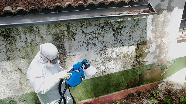 Top rated local Attic Mold Remediation specialists in North Bend, PA